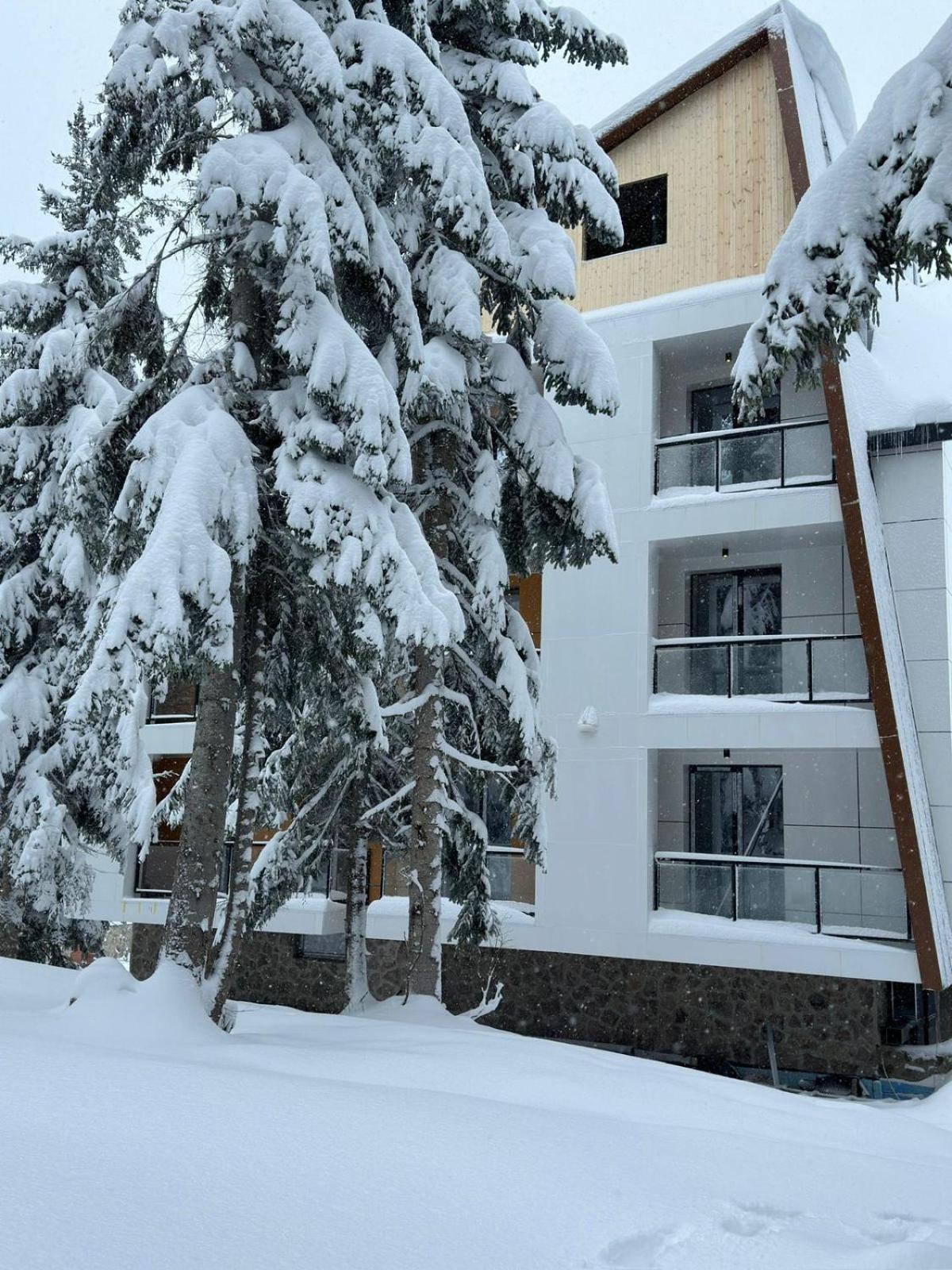 Forest Villa Goderdzi Exterior photo