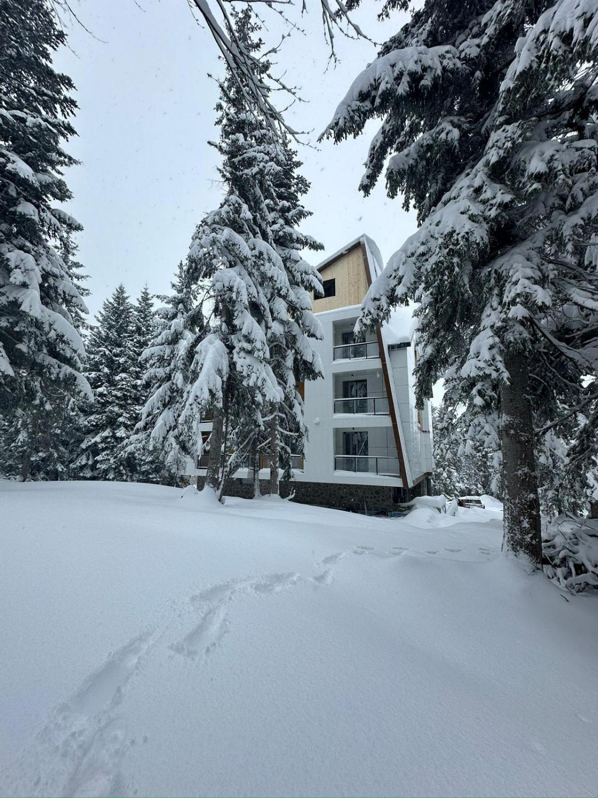 Forest Villa Goderdzi Exterior photo